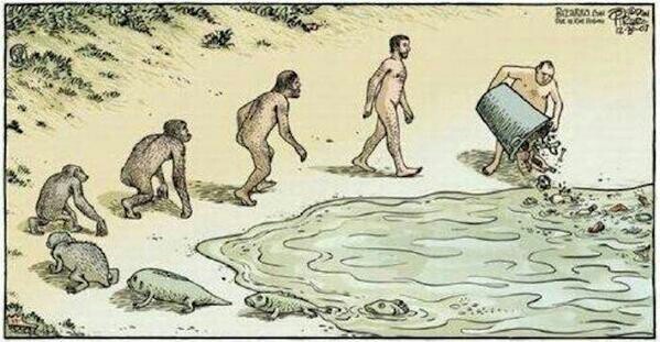 ¿evolución?