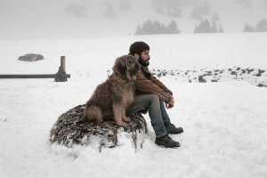 kamikaze-2013-26541-g9